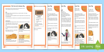 KS2 Pet Care of a Guinea Pig Differentiated Fact File - KS2, comprehension, reading, reading comprehension, reading activity, guinea pig, guinea pigs, looki