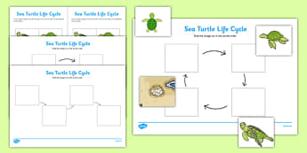 Sea Turtle Life Cycle Worksheets (Under the Sea) -  worksheets, worksheet, sea turtle worksheets, life cycle worksheets, sea turtle, life cycle, under the sea, turtle