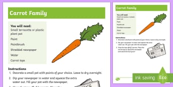 Carrot Family Outdoor Activity Step-by-Step Instructions - CfE Outdoor Learning, nature, carrots, planting, growth, life cycle., Scottish