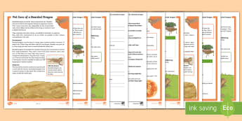 KS2 Pet Care of a Bearded Dragon Differentiated Reading Comprehension Activity - KS2 National Pet Month (April 2017), reading comprehension, reading,fact file, non fiction text, non