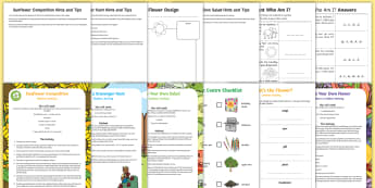 KS1 Summer Fun in the Holidays: In the Garden Activity Pack - parents, home, family, activities, plants, flowers, gardening