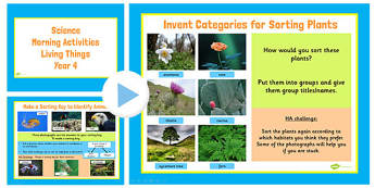 Year 4 Early Morning Activities Living Things - science, ks2