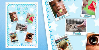 The 5 Senses Poster - sense, smell, touch, hear, see, taste