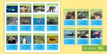Endangered Animals Top Card Game - endangered, animals, top card, top trump, card, game