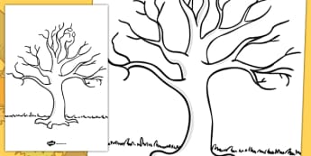 Tree Template - KS1 Nature Drawing Resources