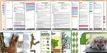 EYFS Adult Input Planning and Resource Pack to Support Teaching on Stick Man - eyfs, adult, plan, support