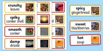 Autumn Senses Word Cards - autumn, senses, word cards, word, cards