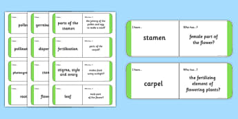 Plant Vocabulary Loop Cards - plant vocabulary, loop cards, plants, loop games, activities, games, matching game, cards, vocabulary, plant cards