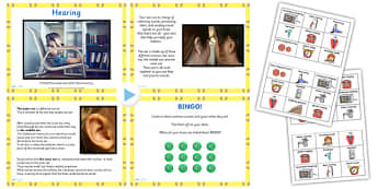 KS1 Science Senses Hearing PowerPoint Pack - ks1 science, listen