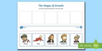 Human Life Cycle Cut and Stick Activity - Human Stages of Growth