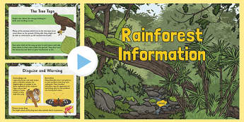 Rainforest Information PowerPoint - rainforests, rainforest information, rainforest worksheet, rainforest powerpoint, habitats, ks2
