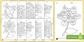 EYFS Nursery (FS1) Assessment Flowers