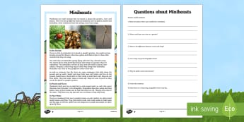 Minibeasts Differentiated Reading Comprehension Activity