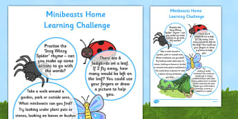 Minibeasts Home Learning Challenge Sheet Nursery FS1 - EYFS, homework, Early years, insects