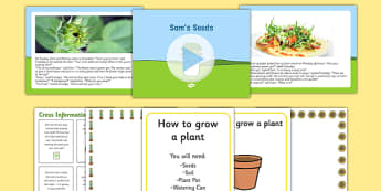 Sam's Seeds Story PowerPoint and Resource Pack - EYFS, Early years, plants and growth, growing, life cycles, Understanding the world