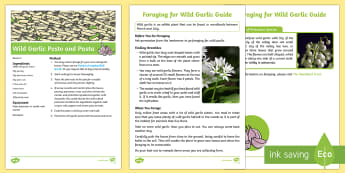 Woodland Foraged Wild Garlic Pesto and Pasta Recipe Resource Pack - woodland, woods, forest, food, cooking, outdoor, forest school