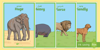 Zoo Animals Adjectives Display Posters Arabic/English - zoo, animals, animal, adjectives, adjective, display, poster, sign, EAL
