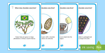 Where Chocolate Comes From Display Posters - Where Chocolate Comes From, chocolate, come from, display, banner, poster, sign, cacao trees, cacao, South America, cocoa, cocoa pods, cocoa beans