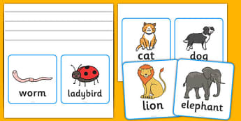 Vertebrates Or Invertebrates Cards - vertebrate, invertebrate, cards, word cards, flashcards, activity, vertebrate or invertebrate, game, matching, animals, animal, types, different