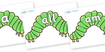 Foundation Stage 2 Keywords on Hungry Caterpillars to Support Teaching on The Very Hungry Caterpillar - FS2, CLL, keywords, Communication language and literacy,  Display, Key words, high frequency words, foundation stage literacy, DfES Letters and So
