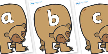 Silent Letters on Brown Bear to Support Teaching on Brown Bear, Brown Bear - Silent Letters, silent letter, letter blend, consonant, consonants, digraph, trigraph, A-Z letters, literacy, alphabet, letters, alternative sounds