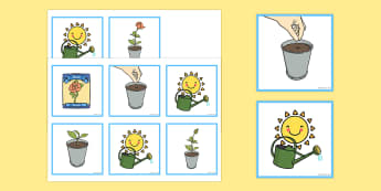 Plant Sequencing Cards - plant, sequencing, cards, sequence