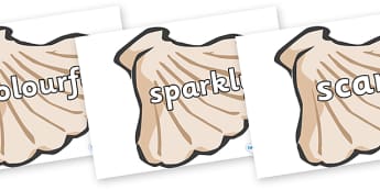 Wow Words on Sea Shells - Wow words, adjectives, VCOP, describing, Wow, display, poster, wow display, tasty, scary, ugly, beautiful, colourful sharp, bouncy
