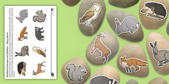 Woodland Animals and Habitats Story Stone Image Cut-Outs - woodland, animals, habitats, story stone