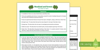 Woodland and Forests Fact Sheet for Adults - EYFS, Early Years, KS1, woods, forests, woodlands, parks, animals, nature, wildlife, British wildlife