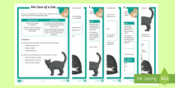 KS2 Pet Care of a Cat Differentiated Fact File - KS2 National Pet Month (April 2017), pet, pets, cats, looking after cats, cat behaviour, cat care, f