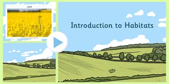 Introduction to Habitats PowerPoint - habitats, habitats powerpoint, habitats information, habitats ks2, animal habitats, different habitats, ks2 science