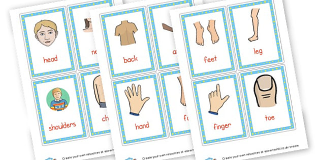 T CR 815 body parts flash cards