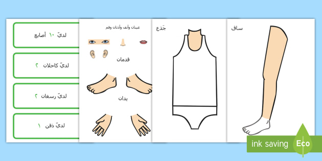 ورقة تمرين عد ولصق أجزاء الجسم  - أجزاء الجسم  العد الحساب أنفسناجسم الإنسان,Arabic