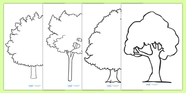 Tree Outline Worksheets - Tree Outline Worksheets, tree outline, worksheet, sheet, activity, trees, outline, colouring, filling in, different trees, type