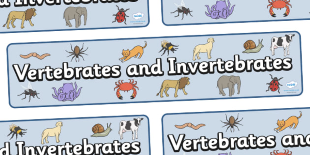 Vertebrates And Invertebrates Display Banner - vertebrate