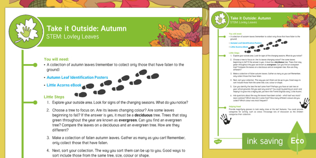 EYFS Take It Outside: Autumn STEM - Lovely Leaves Activity - Little Acorns, twinkl fiction, originals, Outdoor and Woodland Learning, Wonder Investigate Learn Di