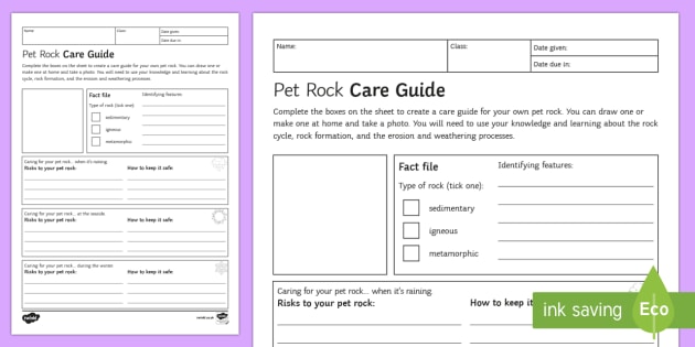 pet-rock-care-guide-homework-activity-sheet-homework-rock