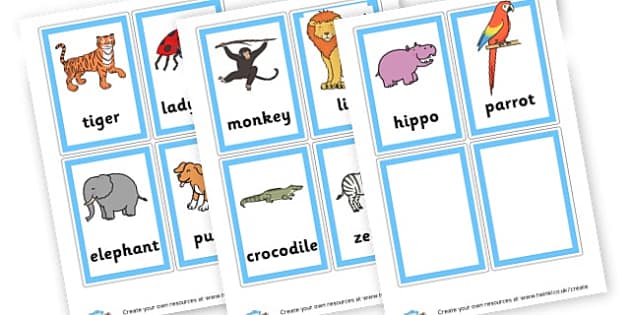 2 and 3 Syllable Animal Pictures - Primary Resources English