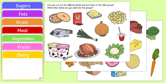 food-group-sorting-activity-food-food-groups-matching-cards