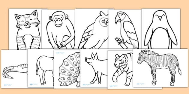 Animal Colouring Sheets - colouring, sheets, fine motor skills