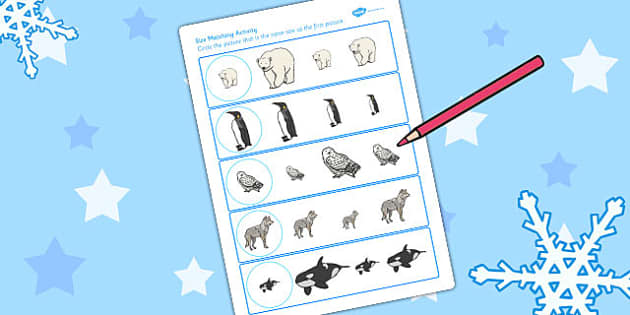 Polar Animals Size Matching Worksheet - Polar, Animals, Size