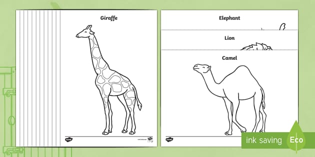 Colouring Sheets to Support Teaching on Dear Zoo - Dear ...