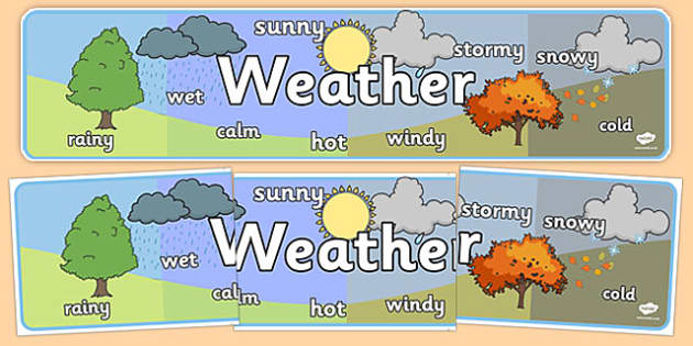 weather display vs weathercat weather display vs weathercat