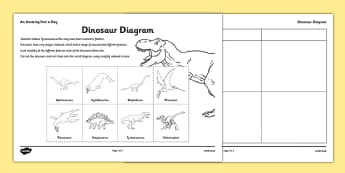 KS2 Carroll Diagrams, Handling Data, Maths, Numeracy - Page 1
