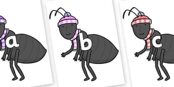 the ant of the self essay the ant of the self essay