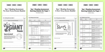 reading comprehension term papers reading comprehension term papers