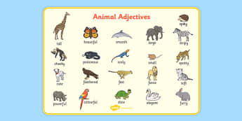 Printables Adjectives Definition Drawing adjectives primary resources cll wow keywords page 1 animal word mat