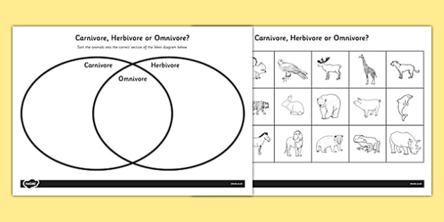 herbivore carnivore omnivore venn diagram omnivore carnivore or herbivore venn diagram sorting worksheet herbivore carnivore omnivore venn diagram omnivore carnivore or herbivore venn diagram sorting worksheet
