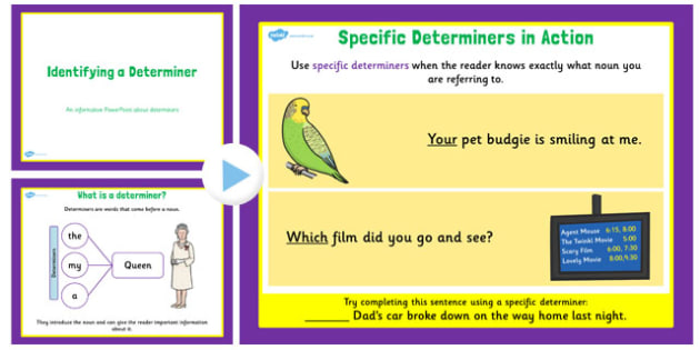 practice paper determiners practice paper determiners