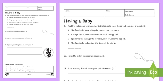 Biology homework help ks3